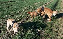 Lena, Paul und Alois